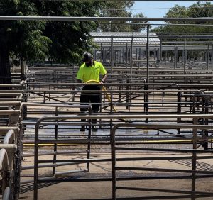 Cleaning at the DRLM