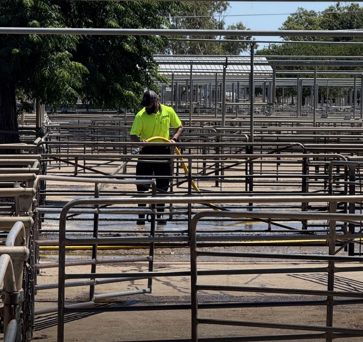 Cleaning at the DRLM